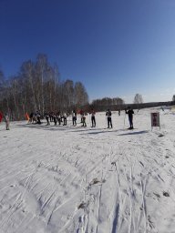 73008652