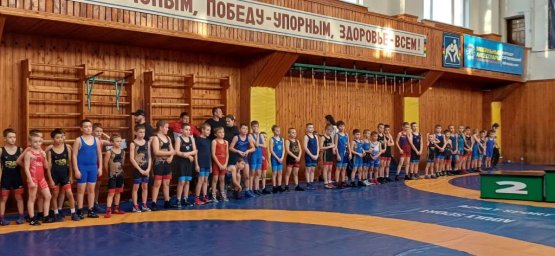 Вольная борьба Вольная борьба