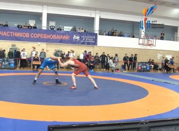 вольная борьба вольная борьба