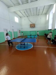 Соревнования по настольному теннису девушек Соревнования по настольному теннису девушек