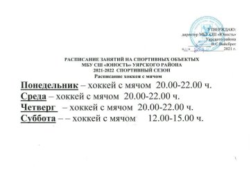 хоккей с мячом