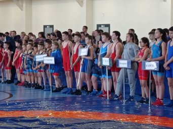 Бронза в Открытом турнире Манского района по вольной борьбе Бронза в Открытом турнире Манского района по вольной борьбе