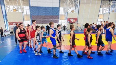 Прошёл турнир по вольной борьбе памяти Андрея Перевощикова