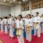 Открытый мемориальный турнир памяти Лапшина Е.А. по Киокушин