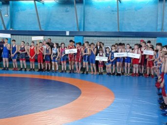 Первенство Красноярского края по вольной борьбе среди юношей 2009-2010 г.р. Первенство Красноярского края по вольной борьбе среди юношей 2009-2010 г.р.