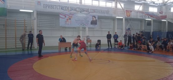 IX открытый турнир по вольной борьбе
