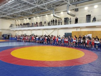 XXVII Открытый турнир по спортивной борьбе (вольная борьба)