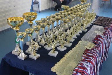 3 Открытое первенство Уярского района по киокушин 3 Открытое первенство Уярского района по киокушин