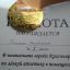 Легкая атлетика