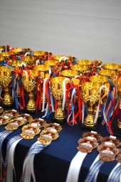 Наши «золотые» каратисты! Наши «золотые» каратисты!